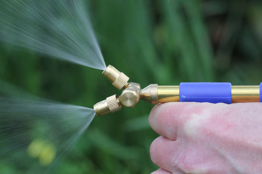 DIY White Oil The Seed Collection